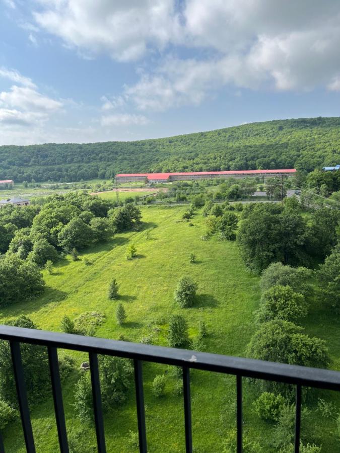 Цахкадзор, Tsaxkadzor, Kechi House Apartment 300 Εξωτερικό φωτογραφία
